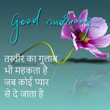 Maybe you would like to learn more about one of these? 38 Good Morning Hd Flower Images For Free Photo Download For Whatsapp Pics Pagal Ladka Com