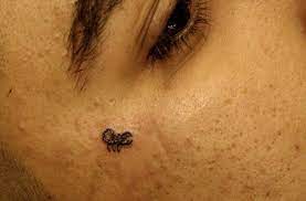 Small Scorpion Tattoo Small Scorpion Tattoo 1 Scorpion Tattoo Small Scorpion Tattoo Small Scorpion Tattoo