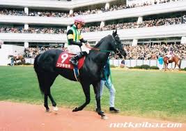 Uma musume pretty derby is a multimedia franchise created by cygames. ãã¸ã­ã»ã­ ç«¶èµ°é¦¬ãã¼ã¿ Netkeiba Com