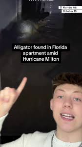 Alligator Found in Flooded Home During Hurricane Milton