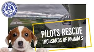 Opening hours for veterinarians in pittsburgh, pa. Paart Pittsburgh Aviation Animal Rescue Team