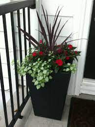 Pin By Sandy Landes On Outdoor Stuff And Plants Flower Pots Outdoor Container Gardening Flowers Patio Flower Pots