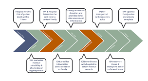 Image result for Tissue Donation