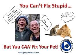 Great Spay Neuter Ad They Can Do This In Georgia Not In Oregon Your Pet Pets Bully Breeds