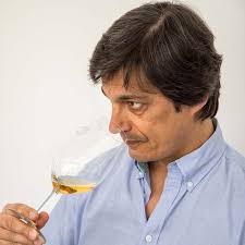 CASA SANTOS LIMA E DFJ VINHOS