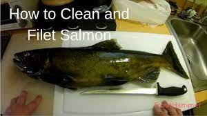 How To Clean And Filet Salmon - Youtube