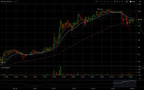 bitfinex btcusd chart 2017 01 02 at 02 21 16 crypto news net