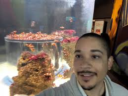 We thoroughly enjoyed all the wildlife we saw at the aquarium in Cape Town  😃