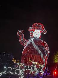 Took the pups to see Xmas lights at the light park in Katy. A good time was  had by all.