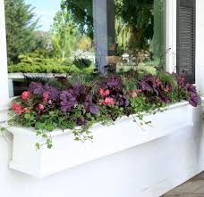 Window boxes are great for houses and apartments alike! Follow The Yellow Brick Home Planting Window Boxes With Shade Loving Plants Follow The Yellow Brick Home