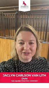 Jaclyn Carlson Van Lith