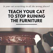 Make sure that the tree is stable and large enough and you just might get a piece of furniture which doubles as kitty's favorite new scratching post. How To Stop Your Cat From Scratching The Furniture Pethelpful