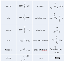 ch105 chapter 5 introduction to organic chemistry chemistry