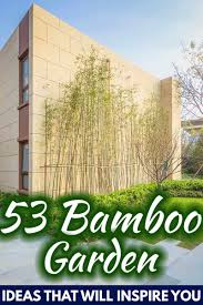There are both woody and herbaceous varieties that can fit your style vision. 53 Bamboo Garden Ideas That Will Inspire You Garden Tabs