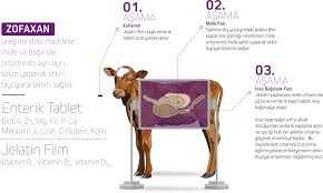 Zofaxan Akilli Tablet