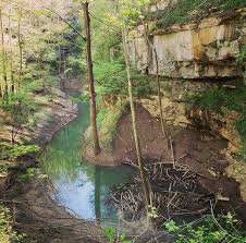cedar sink is a 300 foot deep sink hole