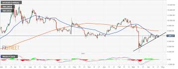 It's clear that even though the price of bitcoin cash has been constantly on the rise ever since it took a huge dip in march, it hasn't made any groundbreaking moves, and showcased very moderate gains, especially compared to its parent cryptocurrency and the coins from the defi cohort. Cryptocurrency Market Update Bitcoin Mooning To 5 Million In Just 5 Years Forex Crunch