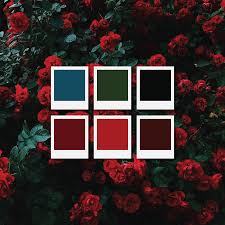 Aesthetic Black And White Color Palette Dark Romantic Color Palette Mood Romantic Colors Palette Dark Color Palette Teal Color Palette