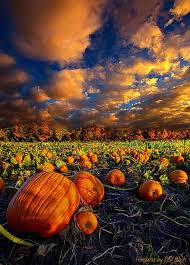 Fall scenes for desktop background. Pumpkin Crossing Fall Pictures Autumn Scenery Nature