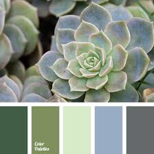 A showstopping sight in the annual garden amazing grey is an unexpected beauty in the landscape. Color Palette 2264 Room Colors Living Room Green Blue Colour Palette