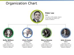 Organization Chart Ppt Powerpoint Presentation Inspiration