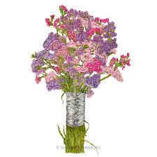Cotton Candy Blend Statice Seeds Flowers Botanical Interests