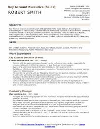 Key Account Executive Resume Samples Qwikresume