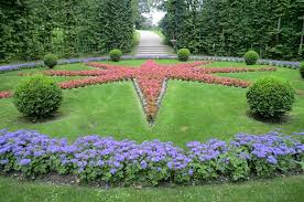 Gainesville fl annual flower installation. Florida Ground Cover Plants Orlando Central Florida Gardening Groundcovers