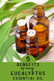 Eucalyptus oil is an essential oil (which is a compound extracted from plants). 5 Benefits Of Using Eucalyptus Essential Oil Simple Living Creative Learning