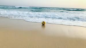 Ada beberapa alasan mengapa anda harus mendapatkan nomor telepon atau nomor ponsel baru. Pantai Lamaru Htm Rute Foto Ulasan Pengunjung