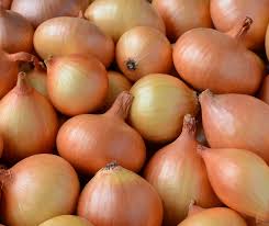 Bawang merah, merupakan tanaman umbi yang banyak dibudidayakan di indonesia. Bawang Holland Manfaat Bawang Holand Dalam Resepi Portal Aneka Resepi No 1