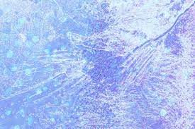 Ice Crystal Texture Background Design Space Free Image By Rawpixel Com Mind Crystal Texture Background Design Textured Background