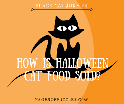 #someone come rescue me because apparently halloween puns turn my cousin into a maniac #halloween puns. Black Cat Jokes Pages Of Puzzles
