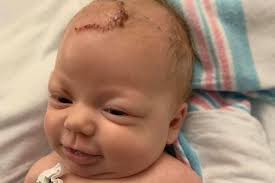 Fundraiser for Elizabeth Stead by Stephanie Vargo : Help raise money to pay  sweet Zoey's med bills