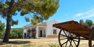 Casa rural haza de los fresnos, tu alojamiento en cádiz la casa rural haza de los fresnos se encuentra en la sierra de cádiz ubicada entre los las casas guemon se encuentran en los caños de meca y ofrecen instalaciones de ocio gratuitas, como pista de tenis, mesa de ping pong y barbacoa. 41 Casas Rurales Que Admiten Perros Gratis En La Provincia De Cadiz Redcanina Es