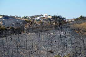 São brás de alportel, tavira, mirandela, macedo de cavaleiros, vinhais, bragança, vimioso e miranda do douro. C94l8ooctmalum