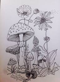 Pin By Victoria Camden On Mushrooms Mushroom Drawing Forrest Drawing Drawings