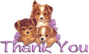 Thank you for contacting charm city puppies. Puppies Cachorro Transparente Gif On Gifer By Metilar