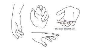 You can also give a hint of the base of the thumb with just one curve. Human Anatomy Fundamentals How To Draw Hands