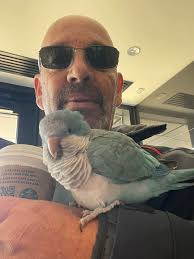 Birds Custom Cabinets 225-806-2807