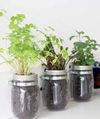 So legen sie ihren eigenen flaschengarten an. Grun Im Einmachglas Kleiner Garten Im Glas Brigitte De