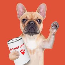 No 1,ground floor, jalan elektron u16/j, seksyen u 16, denai alam, 40160 shah alam, selangor. Donate And Help A Furry Friend Today Dogs Of Denai Alam
