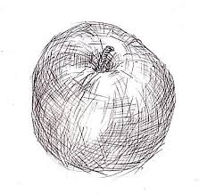 Check spelling or type a new query. An Example Of Cross Contours In Two Directions