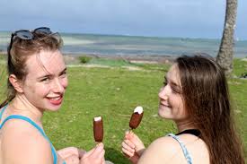 Image result for Grevea