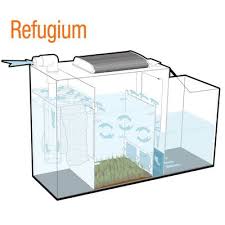 Proflex Sump Filtration Systems Wet Dry Aquarium Filters Petsolutions Aquarium Sump Saltwater Aquarium Setup Aquarium Systems