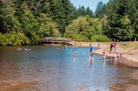 Silver falls canyon trail shorter loop from winter falls trailhead. Silver Falls State Park Oregon State Parks