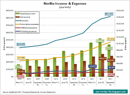 a big year for netflix radical hub