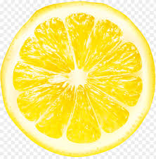 lemon slices png free png images toppng lemon slices png free png images toppng