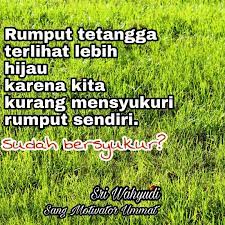 Pernah dengar pepatah 'rumput tetangga lebih hijau dari rumput sendiri'? Rumput Tetangga Lebih Hijau