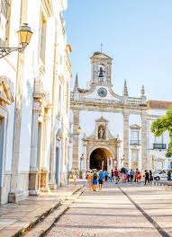 Image result for Faroa duvigneaud